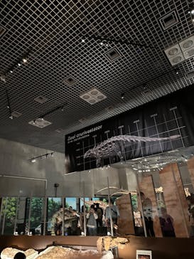 特別展「恐竜博2023」に投稿された画像（2023/3/19）