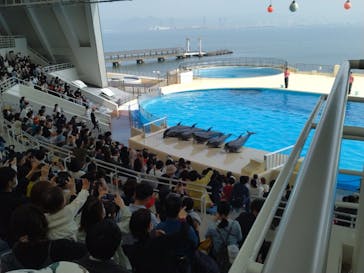 マリンワールド海の中道に投稿された画像（2023/3/11）