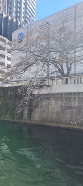 東京ウォータウェイズに投稿された画像（2023/3/19）