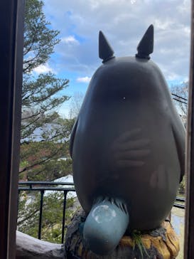 伊豆テディベア・ミュージアムに投稿された画像（2023/3/19）