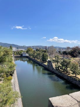 元離宮二条城に投稿された画像（2023/3/19）