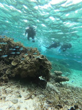 宮古島 ADVENTURE PiPi（ミヤコジマ アドベンチャー ピピ）に投稿された画像（2023/3/19）