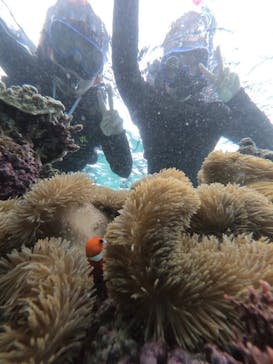 宮古島 ADVENTURE PiPi（ミヤコジマ アドベンチャー ピピ）に投稿された画像（2023/3/19）