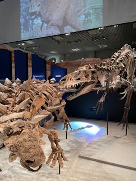 特別展「恐竜博2023」に投稿された画像（2023/3/19）