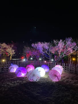 せんだい農業園芸センター　みどりの杜に投稿された画像（2023/3/19）