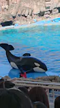 名古屋港水族館に投稿された画像（2023/3/19）
