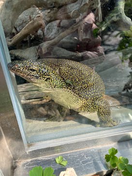 環境水族館アクアマリンふくしまに投稿された画像（2023/3/19）