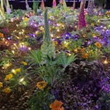 せんだい農業園芸センター　みどりの杜に投稿された画像（2023/3/19）