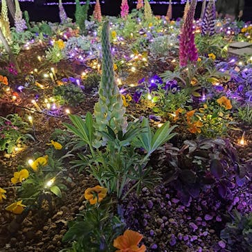 せんだい農業園芸センター　みどりの杜に投稿された画像（2023/3/19）