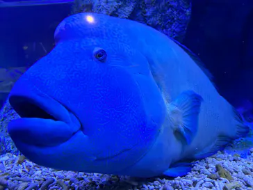 すみだ水族館に投稿された画像（2023/3/19）
