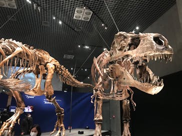 特別展「恐竜博2023」に投稿された画像（2023/3/19）