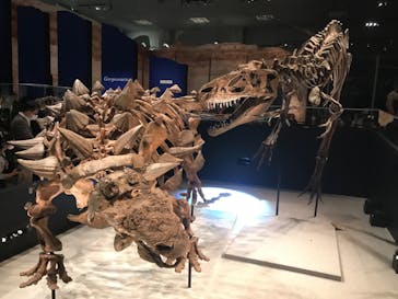 特別展「恐竜博2023」に投稿された画像（2023/3/19）