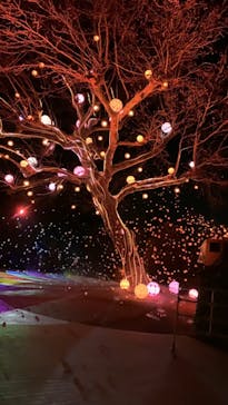 西武園ゆうえんちに投稿された画像（2023/3/19）