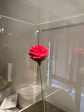 星の王子さまミュージアム 箱根サン=テグジュペリに投稿された画像（2023/3/19）