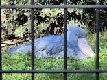 千葉市動物公園に投稿された画像（2023/3/19）