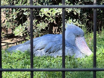 千葉市動物公園に投稿された画像（2023/3/19）