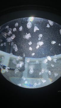 サンシャイン水族館に投稿された画像（2023/3/19）