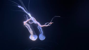 サンシャイン水族館に投稿された画像（2023/3/19）