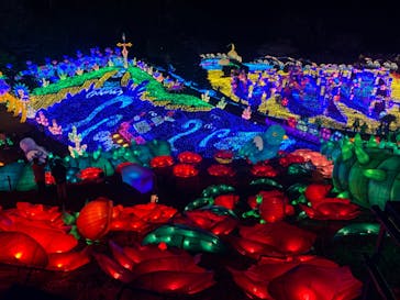 伊豆ぐらんぱる公園に投稿された画像（2023/3/19）