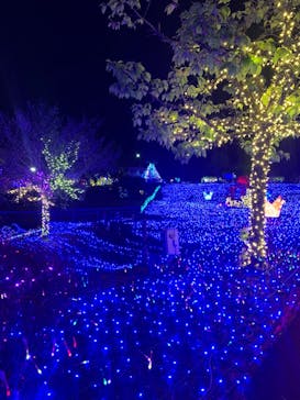 伊豆ぐらんぱる公園に投稿された画像（2023/3/19）