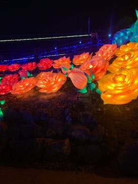 伊豆ぐらんぱる公園に投稿された画像（2023/3/19）