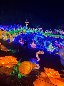 伊豆ぐらんぱる公園に投稿された画像（2023/3/19）