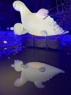 さがみ湖MORI MORIに投稿された画像（2023/3/19）