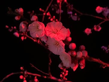 せんだい農業園芸センター　みどりの杜に投稿された画像（2023/3/19）