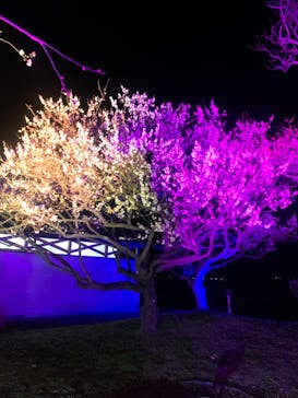 せんだい農業園芸センター　みどりの杜に投稿された画像（2023/3/19）