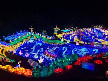 伊豆ぐらんぱる公園に投稿された画像（2023/3/19）