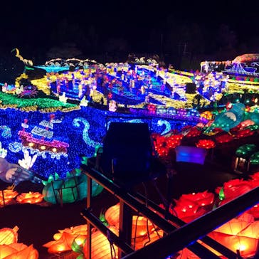 伊豆ぐらんぱる公園に投稿された画像（2023/3/19）