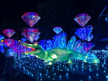 伊豆ぐらんぱる公園に投稿された画像（2023/3/19）