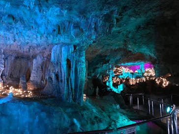 石垣島鍾乳洞に投稿された画像（2023/3/19）