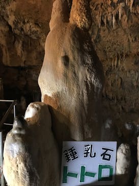 石垣島鍾乳洞に投稿された画像（2023/3/19）