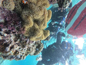 宮古島 ADVENTURE PiPi（ミヤコジマ アドベンチャー ピピ）に投稿された画像（2023/3/19）