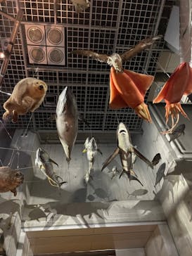 特別展「恐竜博2023」に投稿された画像（2023/3/19）