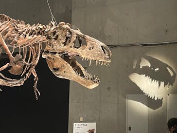 特別展「恐竜博2023」に投稿された画像（2023/3/19）