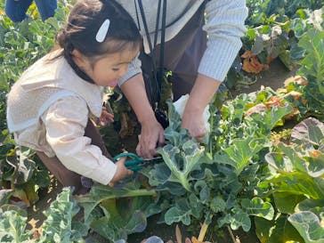 淡路ファームパーク イングランドの丘に投稿された画像（2023/3/19）