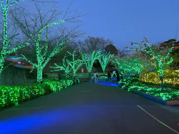 ひらかたパークに投稿された画像（2023/3/19）