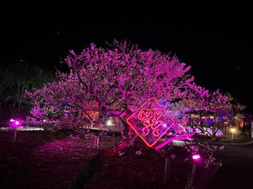 せんだい農業園芸センター　みどりの杜に投稿された画像（2023/3/19）