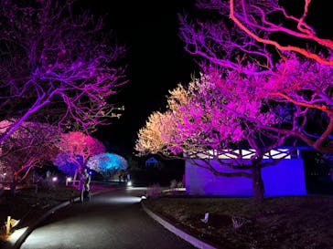 せんだい農業園芸センター　みどりの杜に投稿された画像（2023/3/19）