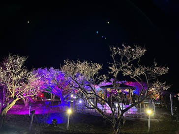 せんだい農業園芸センター　みどりの杜に投稿された画像（2023/3/19）