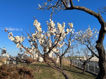 せんだい農業園芸センター　みどりの杜に投稿された画像（2023/3/19）