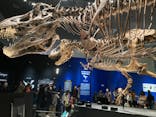 特別展「恐竜博2023」に投稿された画像（2023/3/19）