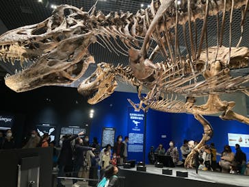 特別展「恐竜博2023」に投稿された画像（2023/3/19）