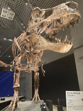 特別展「恐竜博2023」に投稿された画像（2023/3/19）