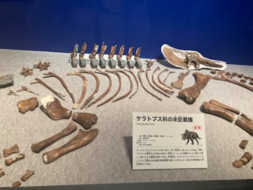 特別展「恐竜博2023」に投稿された画像（2023/3/19）
