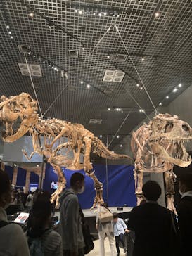 特別展「恐竜博2023」に投稿された画像（2023/3/19）