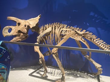 特別展「恐竜博2023」に投稿された画像（2023/3/19）