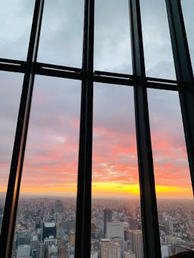 屋外展望台スカイプロムナードに投稿された画像（2023/3/19）